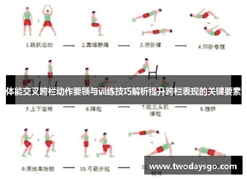 体能交叉跨栏动作要领与训练技巧解析提升跨栏表现的关键要素