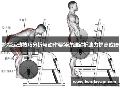 跨栏运动技巧分析与动作要领详细解析助力提高成绩